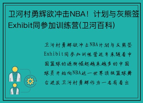 卫河村勇辉欲冲击NBA！计划与灰熊签Exhibit同参加训练营(卫河百科)